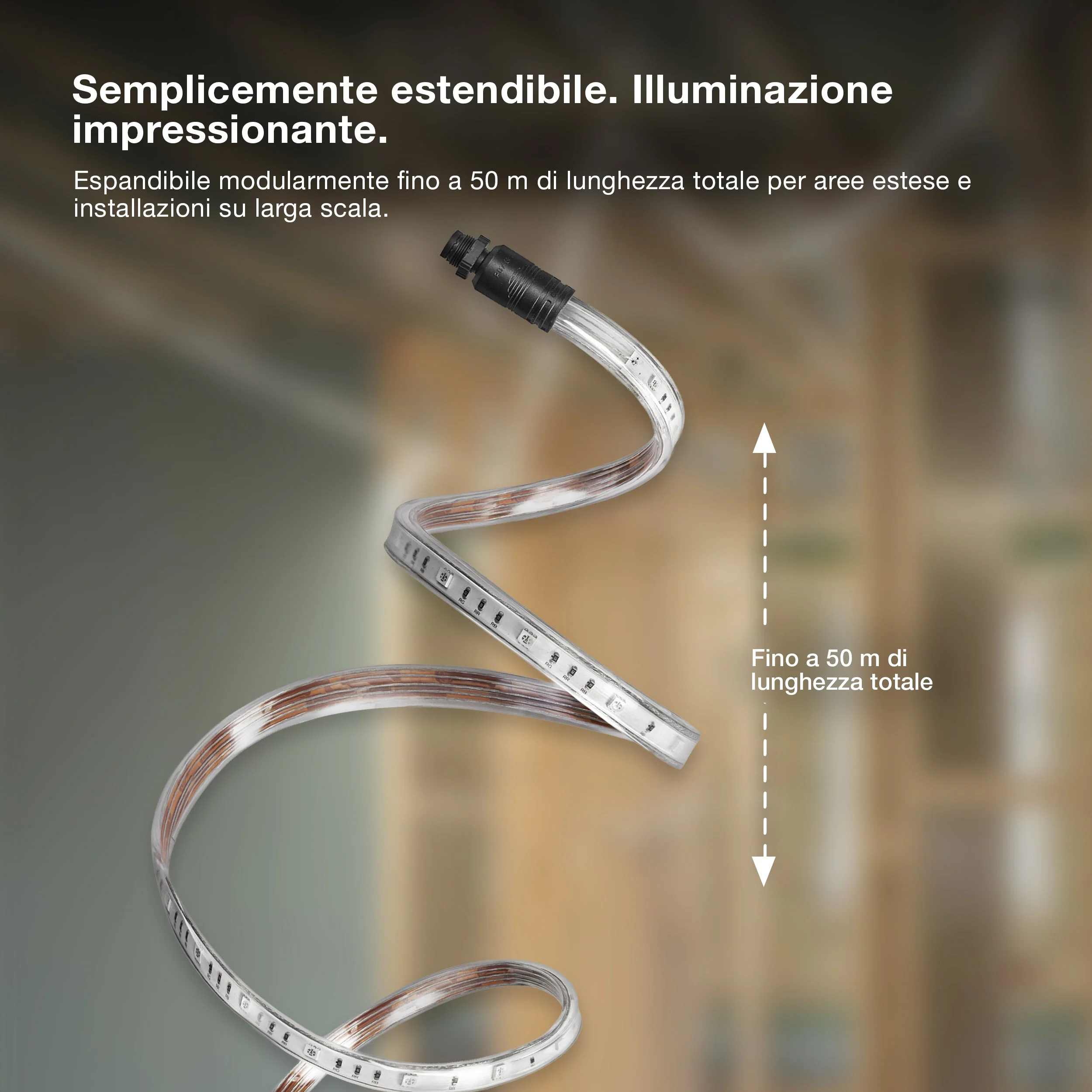 Immagine prodotto 8